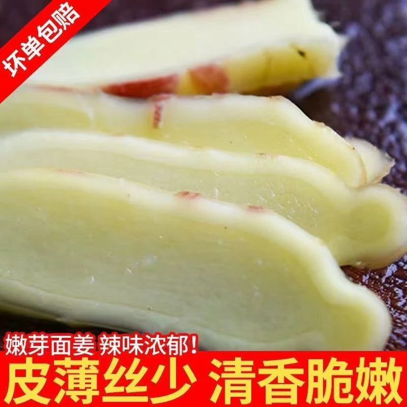 舌尖恩施-国家地标·来凤凤头姜 嫩姜 5斤装