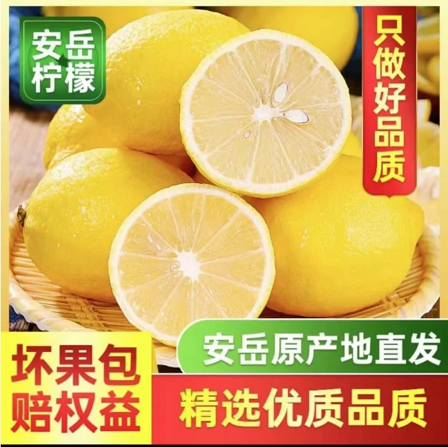 安岳新鲜黄柠檬当季水果酸爽多汁3斤大果中大果皮薄