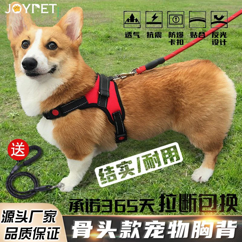 【养宠装备】狗狗牵引绳中型大型犬背心式胸背遛狗金毛拉布拉多狗绳