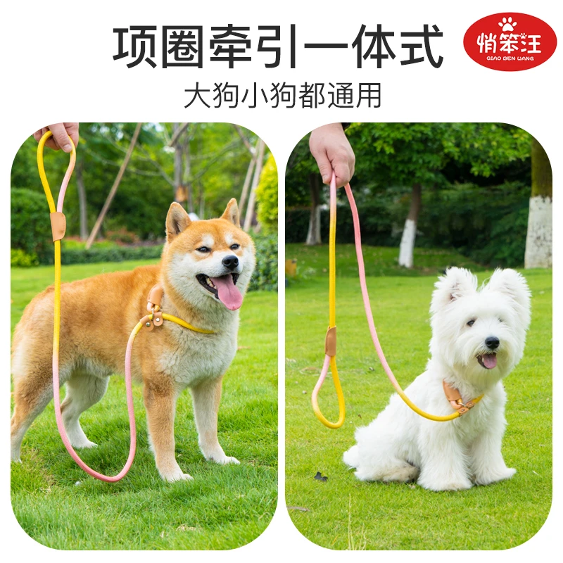 P绳狗狗牵引绳外出防爆冲训犬专用狗绳泰迪小中大型犬p绳遛狗绳子