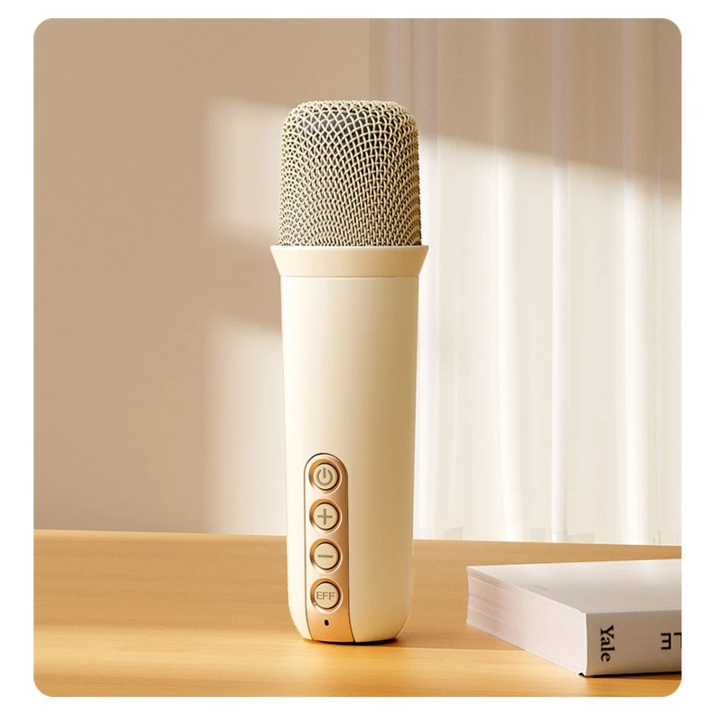 Philips/飞利浦k歌音响修音降噪声卡混响话筒麦克风（不独立出售）