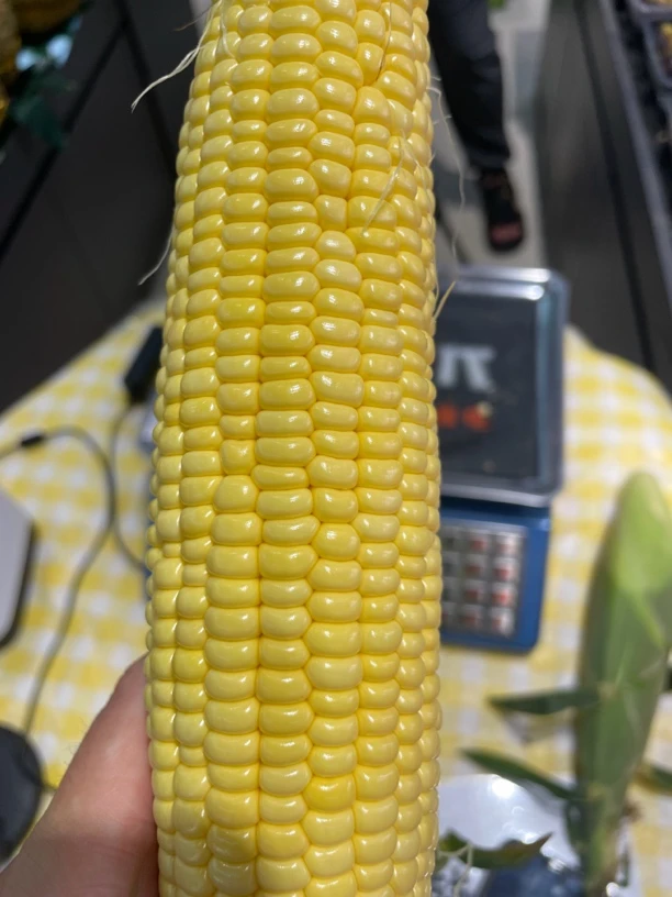 北京采摘水果玉米9根10元