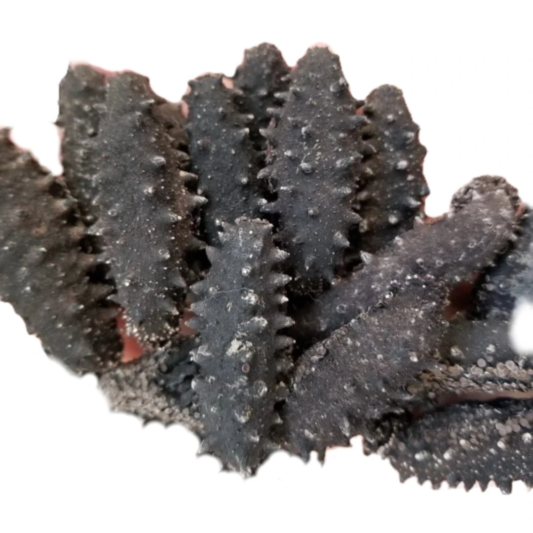 深海淡干海参500克