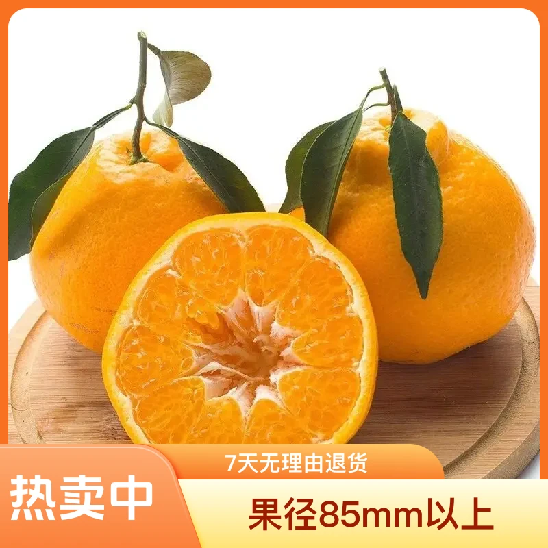 四川纯甜春见耙耙柑橘子甜皮薄多汁爽口桔子水果丑橘特大果10新鲜