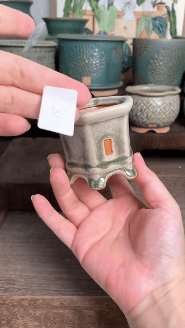 【闪购商品】红陶20CM以下7-18-58默认微瑕口