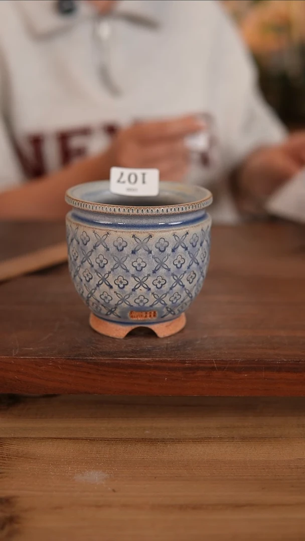 【闪购商品】红陶20CM以下10-20-107 口6.5