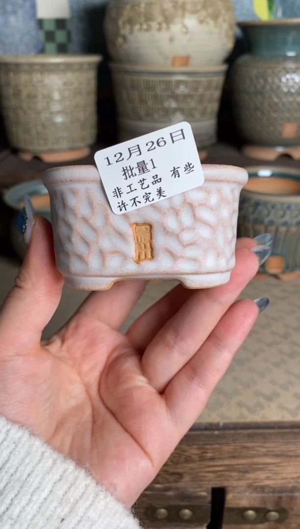【闪购商品】红陶15cm以下12-26批量1默认微瑕口6内2.5