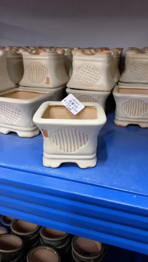 【闪购商品】红陶15cm以下1-24批量539默认微瑕