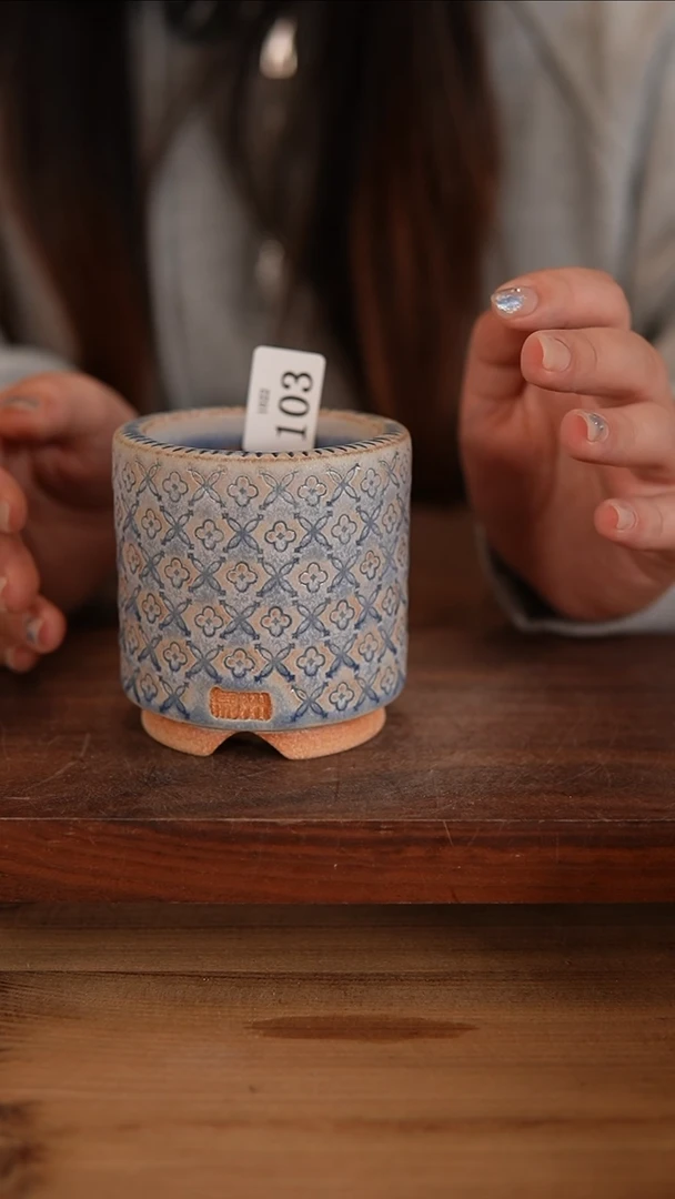 【闪购商品】红陶20CM以下10-22-103 口6