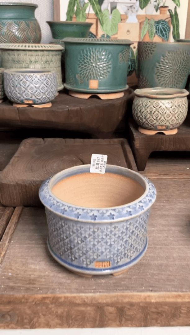 【闪购商品】红陶20CM以下7-18-187默认微瑕口10.5