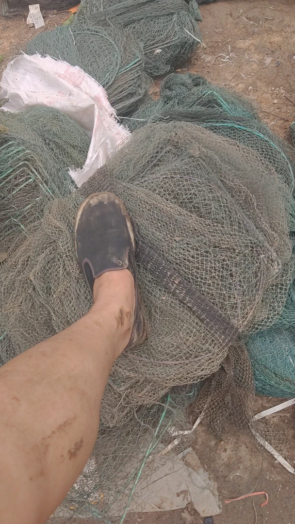 鱼笼，虾笼，挂网，直播专用，挂网，笼子，6