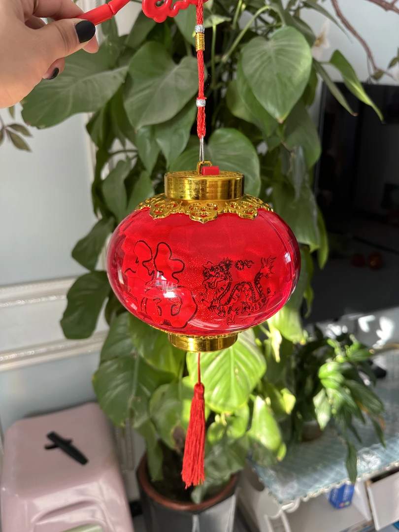 大红灯笼手提小灯笼小孩玩具可提可挂可亮灯喜庆灯笼新年礼物
