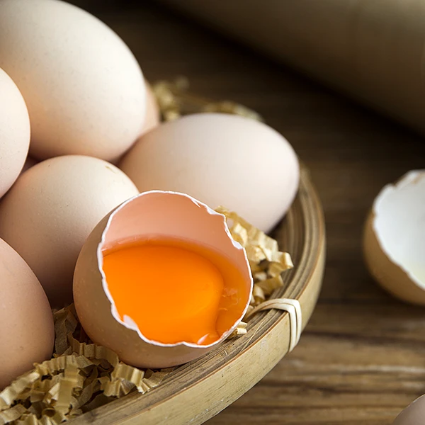 【一乙农场】露天散养土鸡蛋 自然放养新鲜草鸡蛋好吃有营养40枚