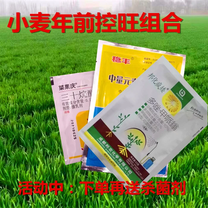 小麦年前控旺营养叶面肥组合