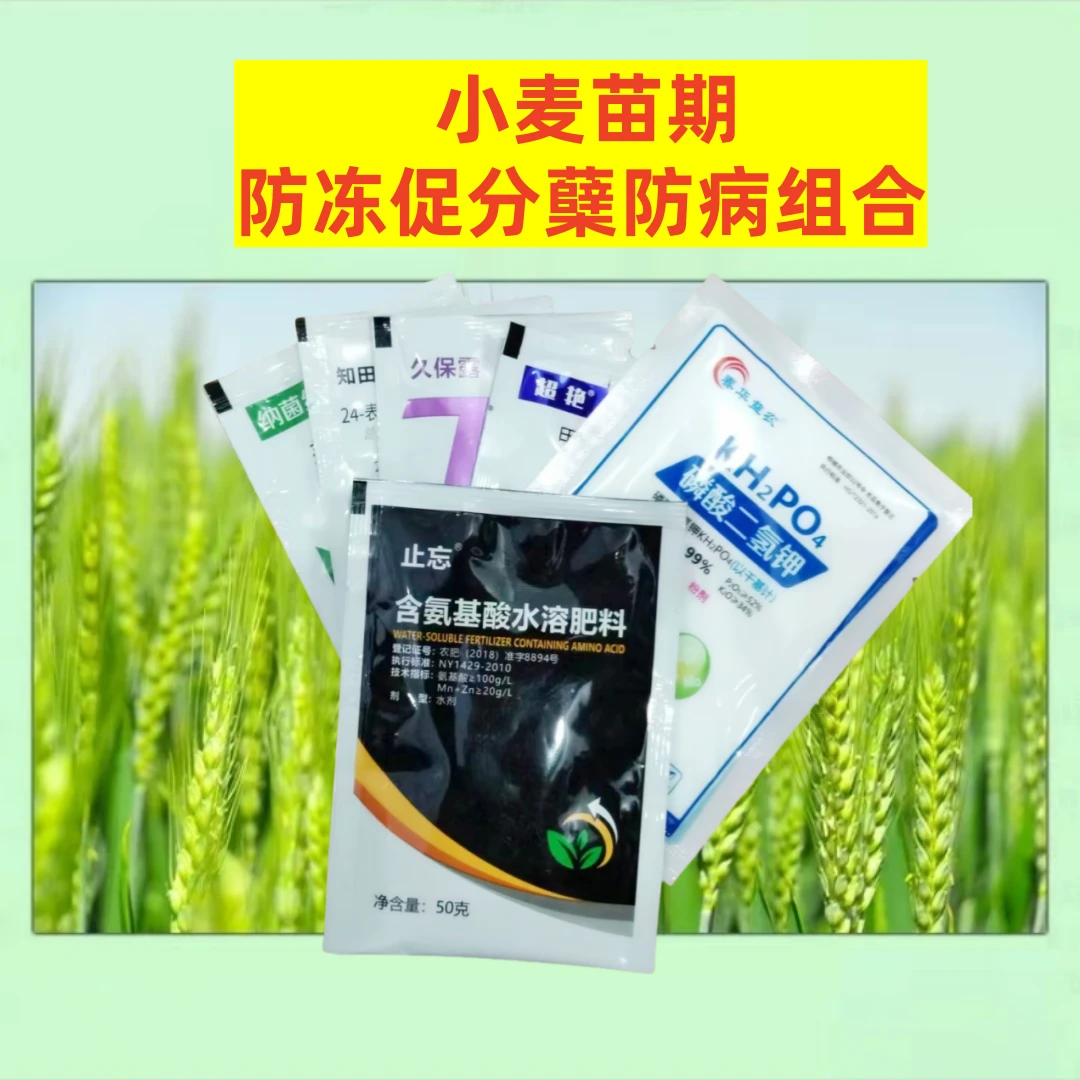 【活动中6合1】小麦苗期防冻促分蘖防病生根壮苗叶面喷施组合