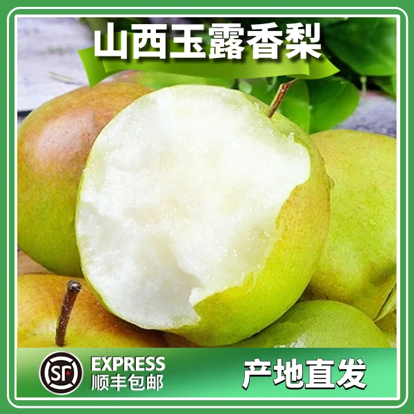 【顺丰包邮】梨子整箱批发正宗山西玉露香梨酥脆口感香甜净重4.5斤