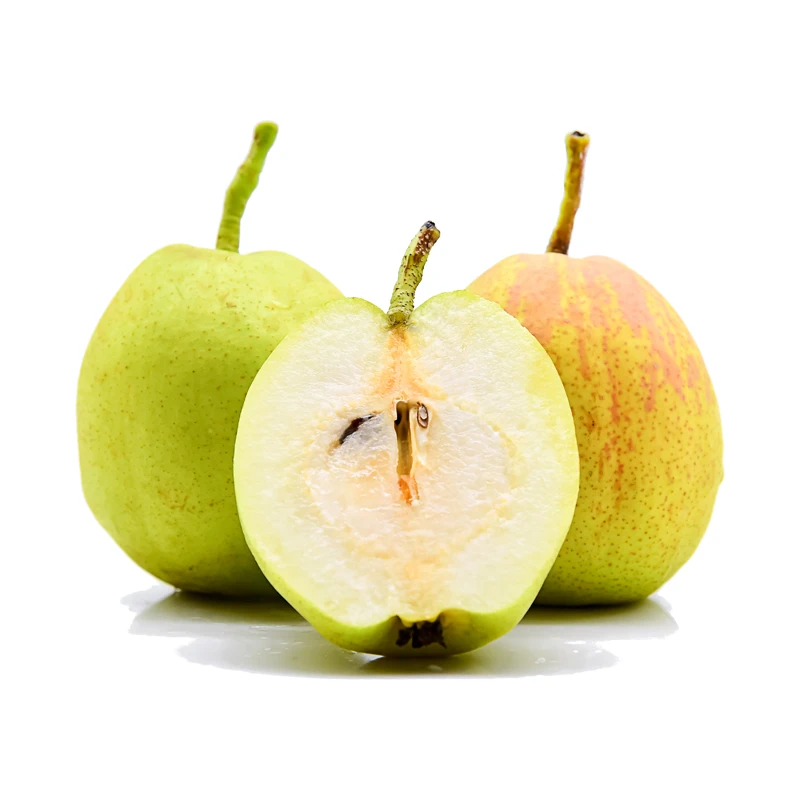 新疆库尔勒香梨5斤装/顺丰快递