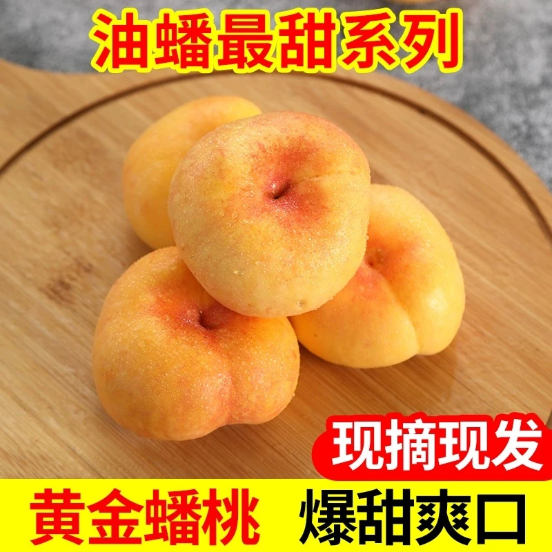 蒙阴纯甜黄金油蟠桃扁桃子新鲜水果彩虹蟠桃多汁彩虹蟠桃蒙阴蟠桃