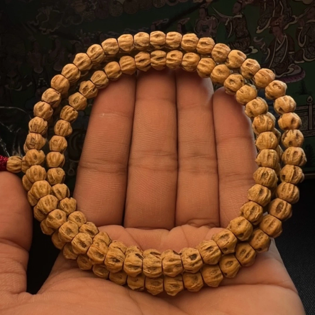 哑舍出品 热振柏香籽 “莫邪”红皮尸陀林尺寸6.5mm左右