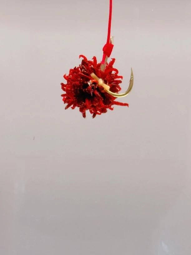 红虫球冬季大青饵 大青专用 青鱼红冲球 黑坑大青偷驴正钓均可