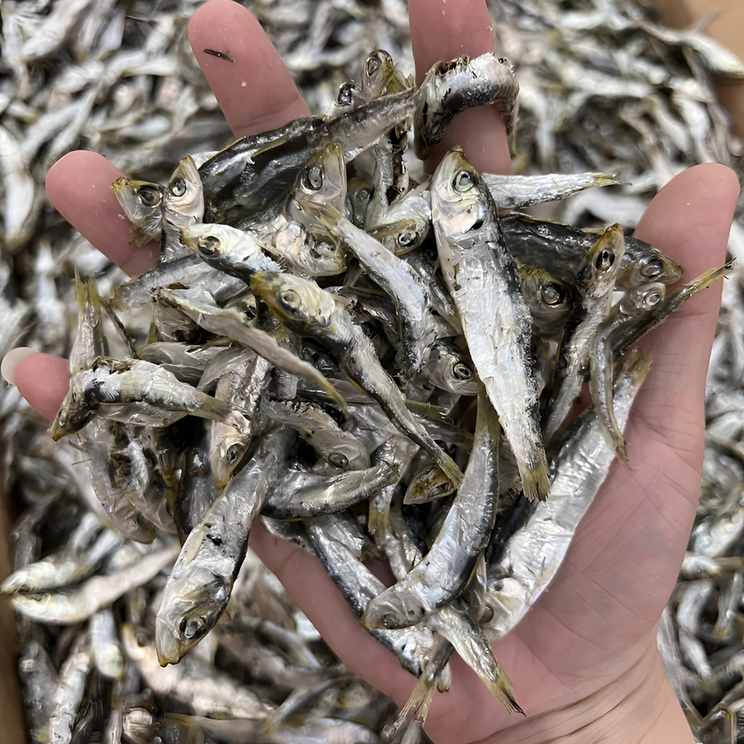 鲍总管东山岛本港青兰鱼干菇鱼仔250g天然日晒小鱼干海鲜水产干货
