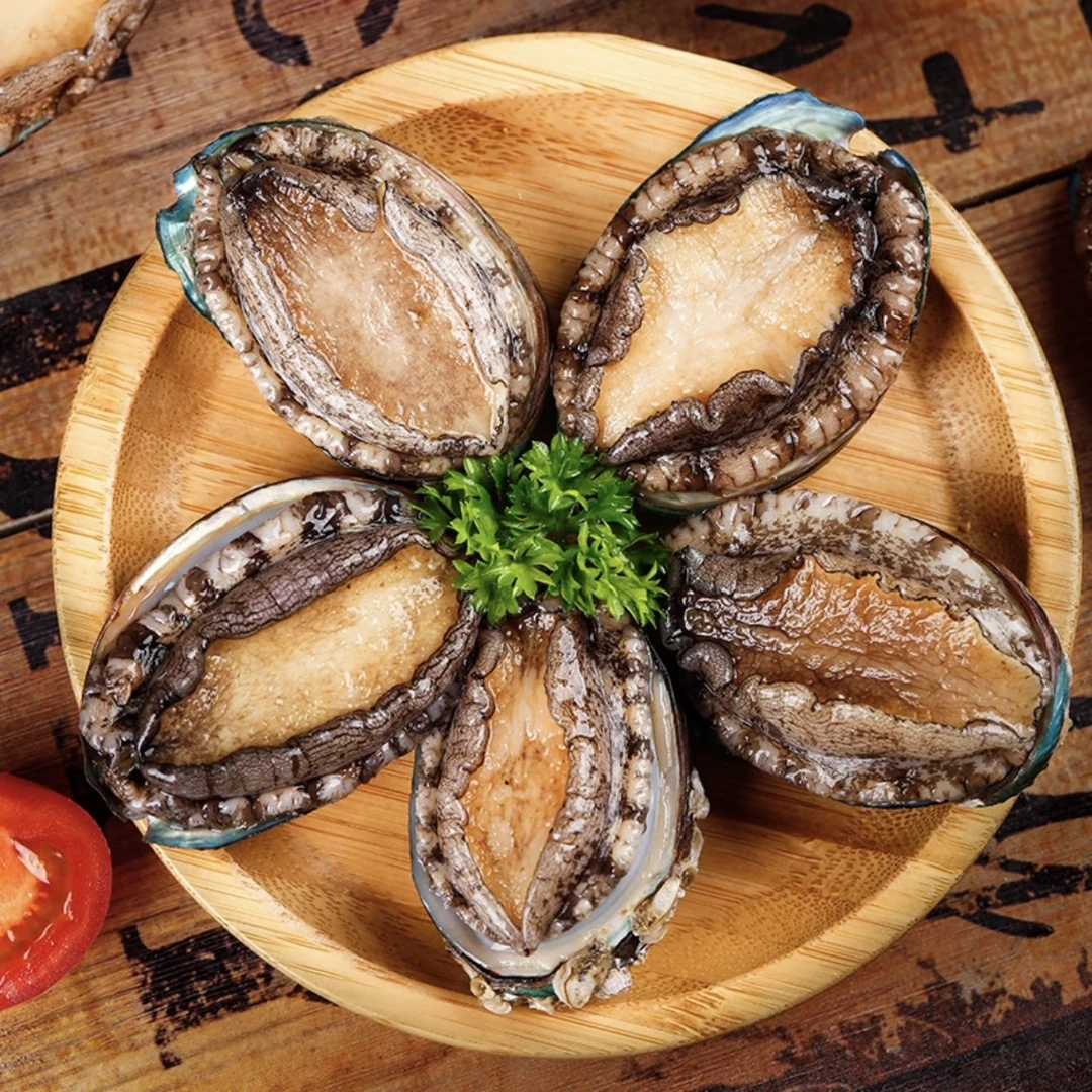 【小妹】东山岛7-8头大鲍鱼6-7cm海鲜水产速冻海捕鲍鱼产地冷链直发