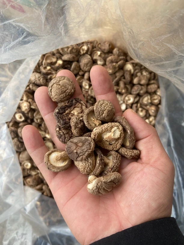 精选干蘑菇香菇干货肉厚冬菇煲汤农家特产