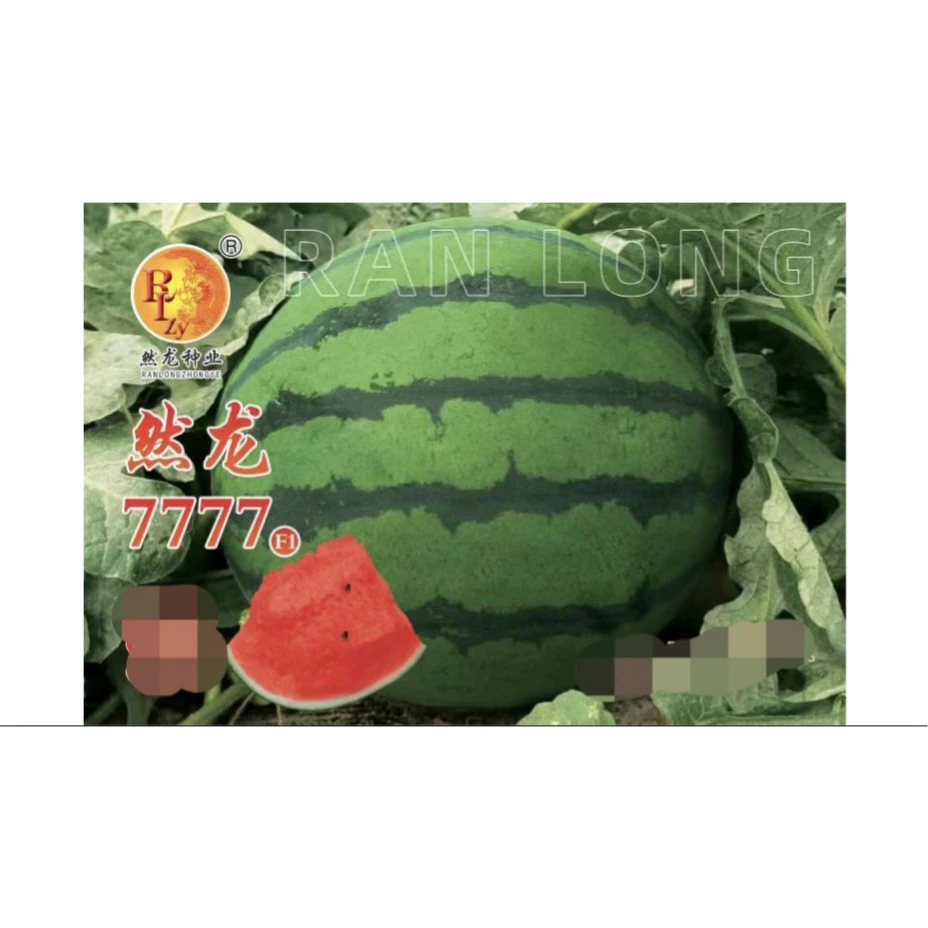 然龙7777西瓜种子1000粒/罐