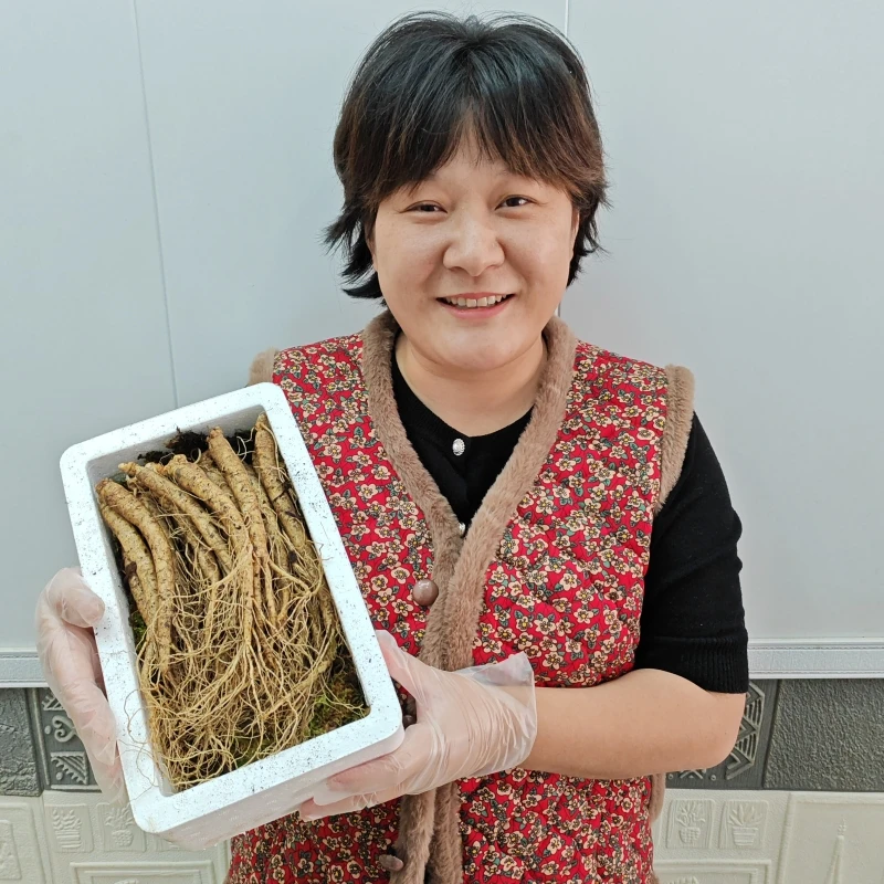 长白山脉新鲜人参20支一箱送泡沫箱加苔藓加冰袋