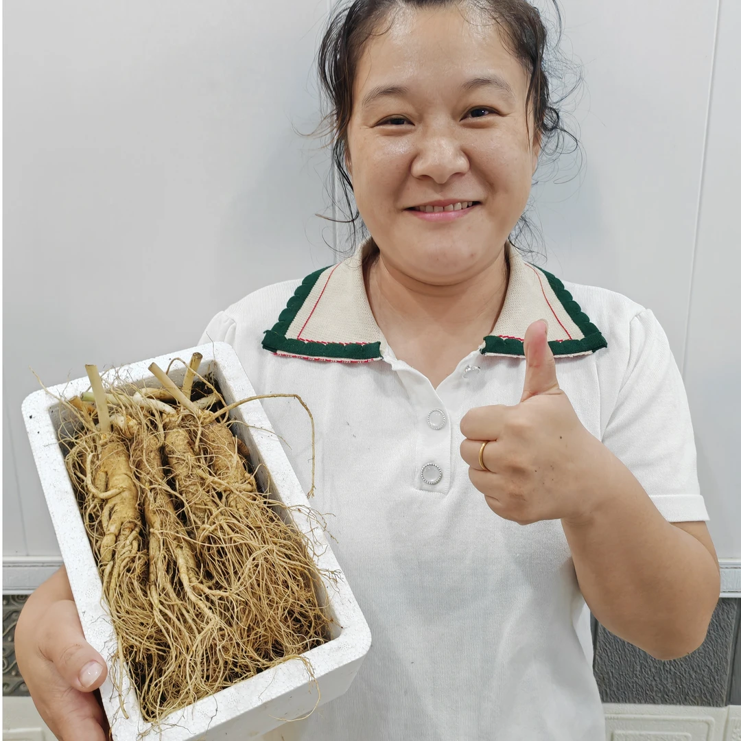 长白山脉新鲜人参十支一盒装，免费送泡沫箱加苔藓加冰袋