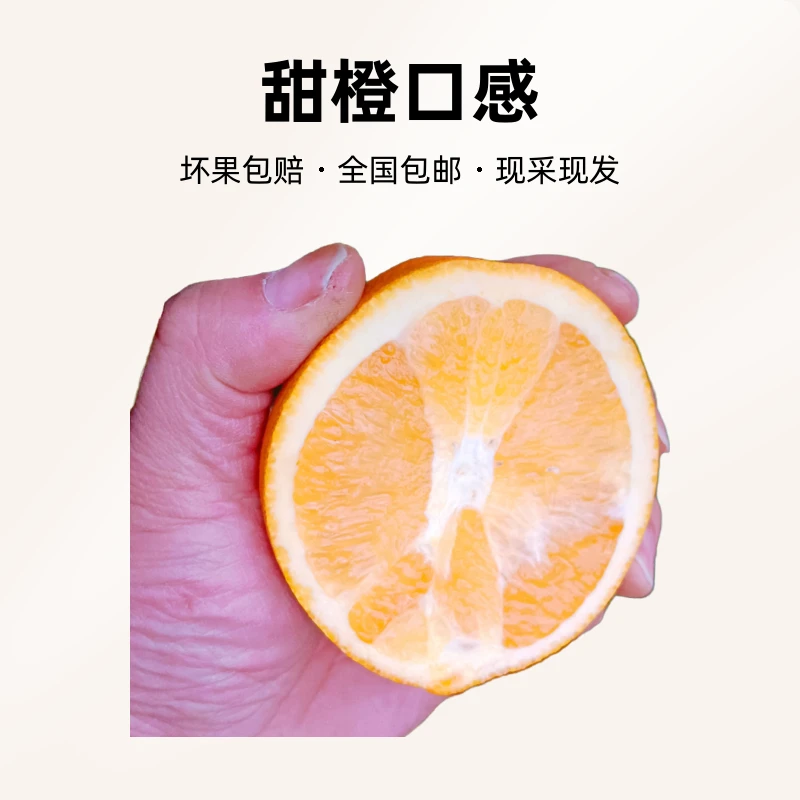 常德正宗生态脐橙 新鲜采摘 现采现发 坏果包赔 甜橙 全国包邮