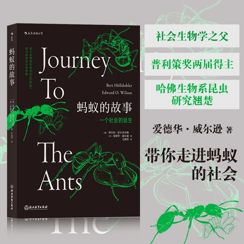 【瑕疵】蚂蚁的故事  带你探寻昆虫社会的奥秘