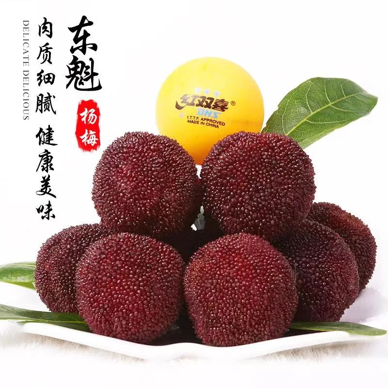 【精品9A】正宗仙居高山东魁杨梅 顺丰京东冷链空运