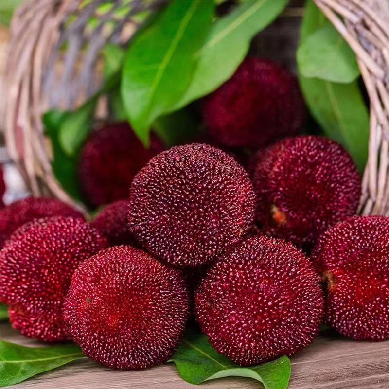 【精品8A】高山仙居东魁杨梅 顺丰京东冷链空运