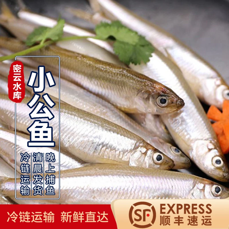 密云水库特产小公鱼2斤