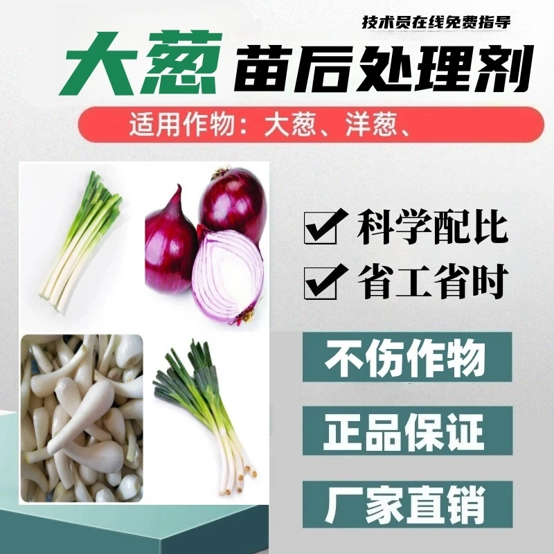大葱苗后处理剂洋葱苗后处理剂大葱专用藠头厂家直销正品科学配比