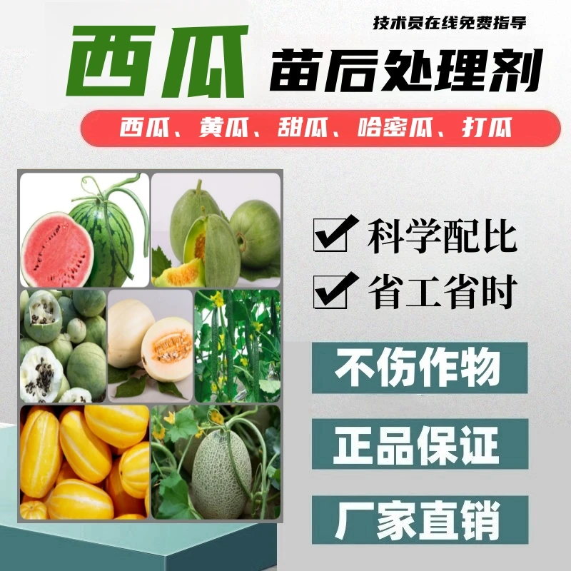 西瓜苗后处理剂西瓜专用苗后处理剂科学配比厂家直销正品不伤苗
