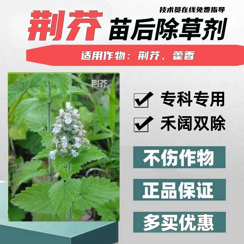 荆芥除草剂荆芥苗后灭草药荆芥专用除草剂禾阔双除正品不伤苗厂家