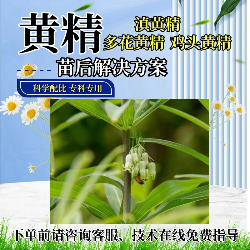 黄精苗后处理剂玉竹黄精专用苗后处理剂科学配比正品不伤种植苗