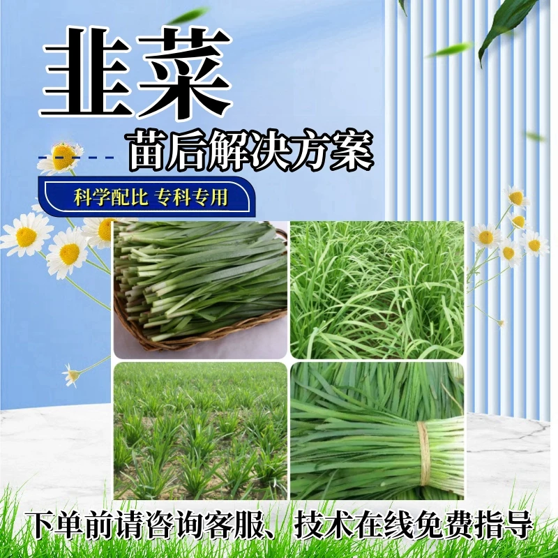 韭菜苗后处理剂韭菜专用禾阔除灭烂根苗后多元复配助剂基地合作社