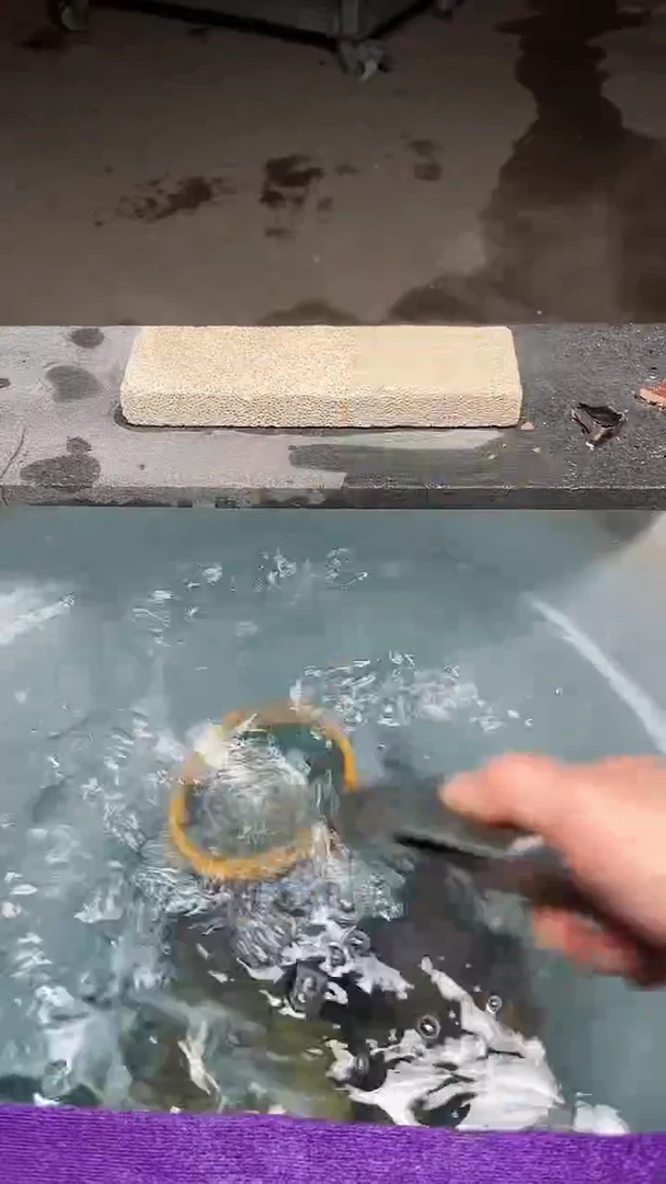 【闪购商品】陶茶盏绿鹧鸪