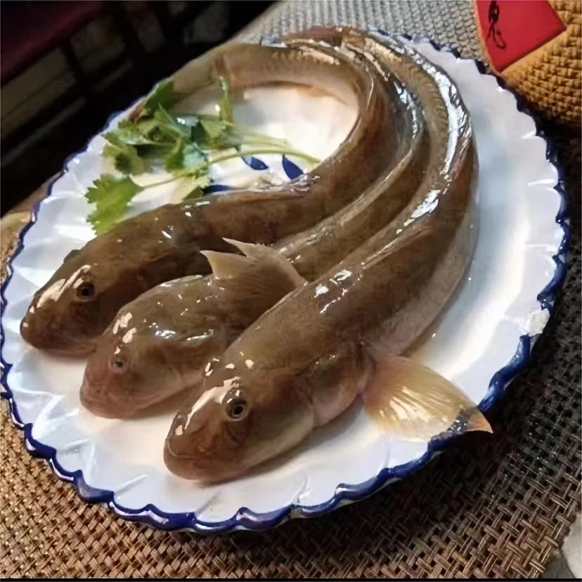 新鲜速冻沙光鱼5斤，连云港发货