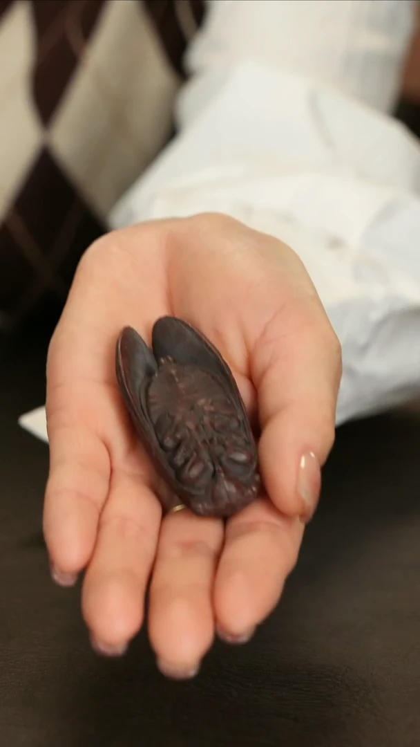 【闪购商品】紫砂茶壶直播福利知了小茶宠