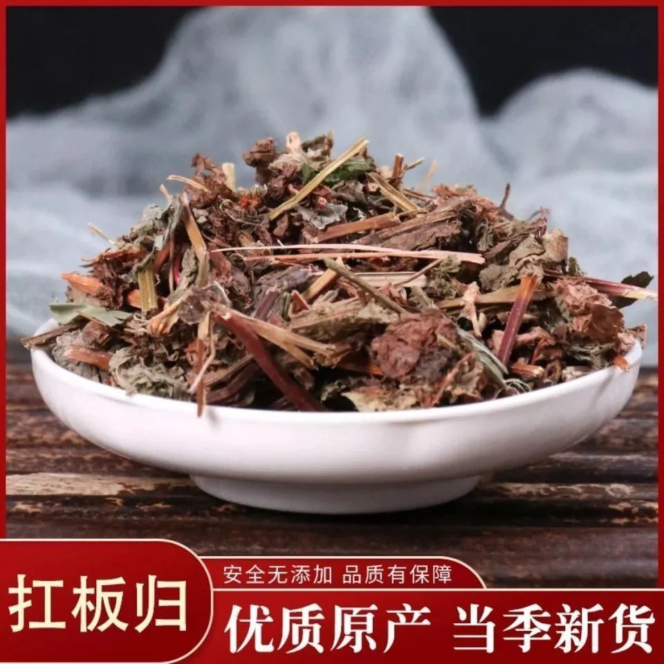 扛板归当季新货250克-500克蛇倒退刺藤老虎【极速发货】干货农产品