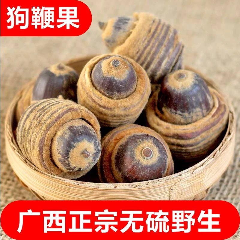 广西野生狗鞭果新货毛毛果猪仔粒100克/500克干货 泡酒男