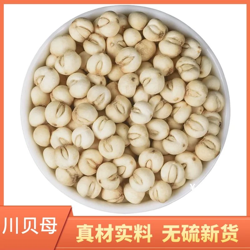 川贝母精选新货100克、500克干货叶菜煮水