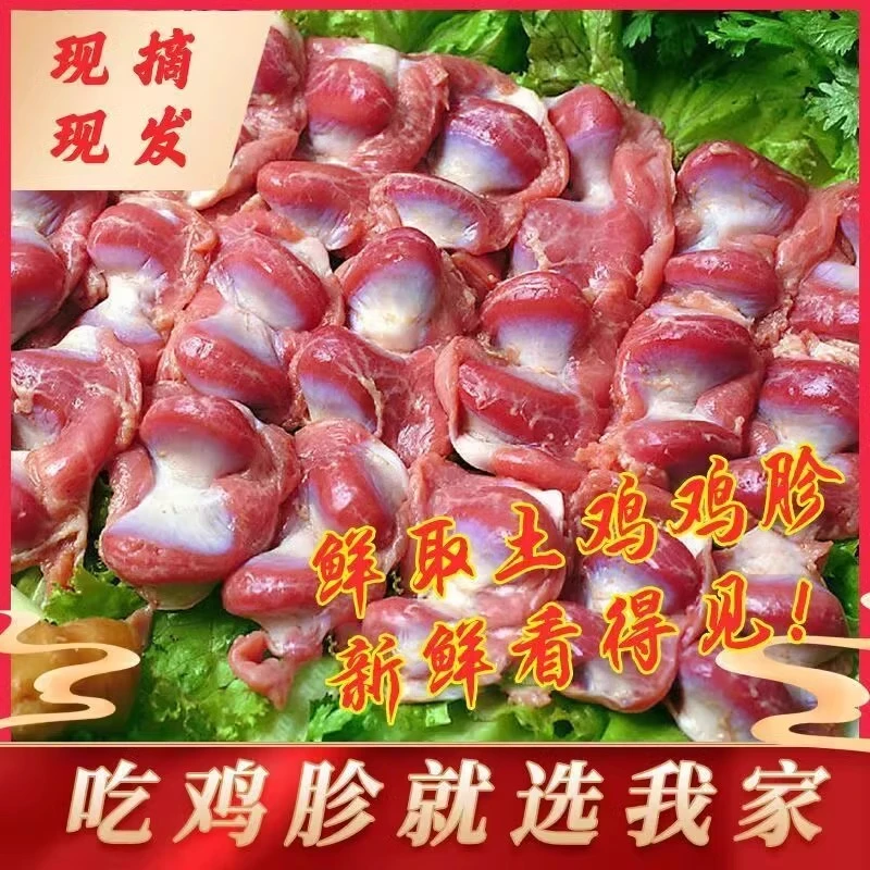 新鲜鸡胗10斤 现杀鸡胗5大包（2斤/包）鲜嫩美味可口