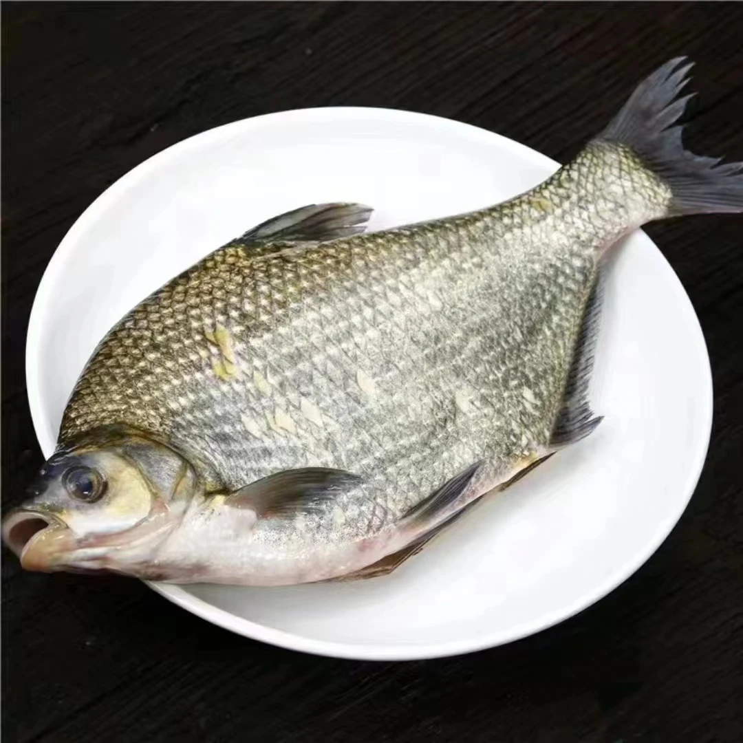 速冻 冬捕冷水 野生鳊花鱼 红烧清蒸