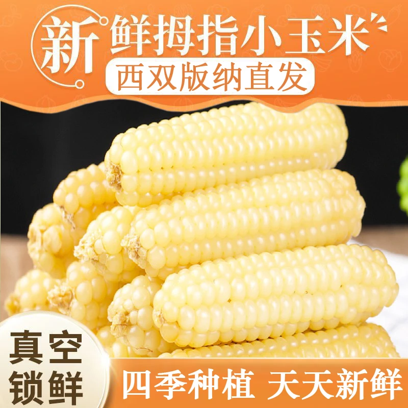 正宗拇指玉米傣家老品种玉米非转基因甜糯小玉米新鲜软糯手指玉米
