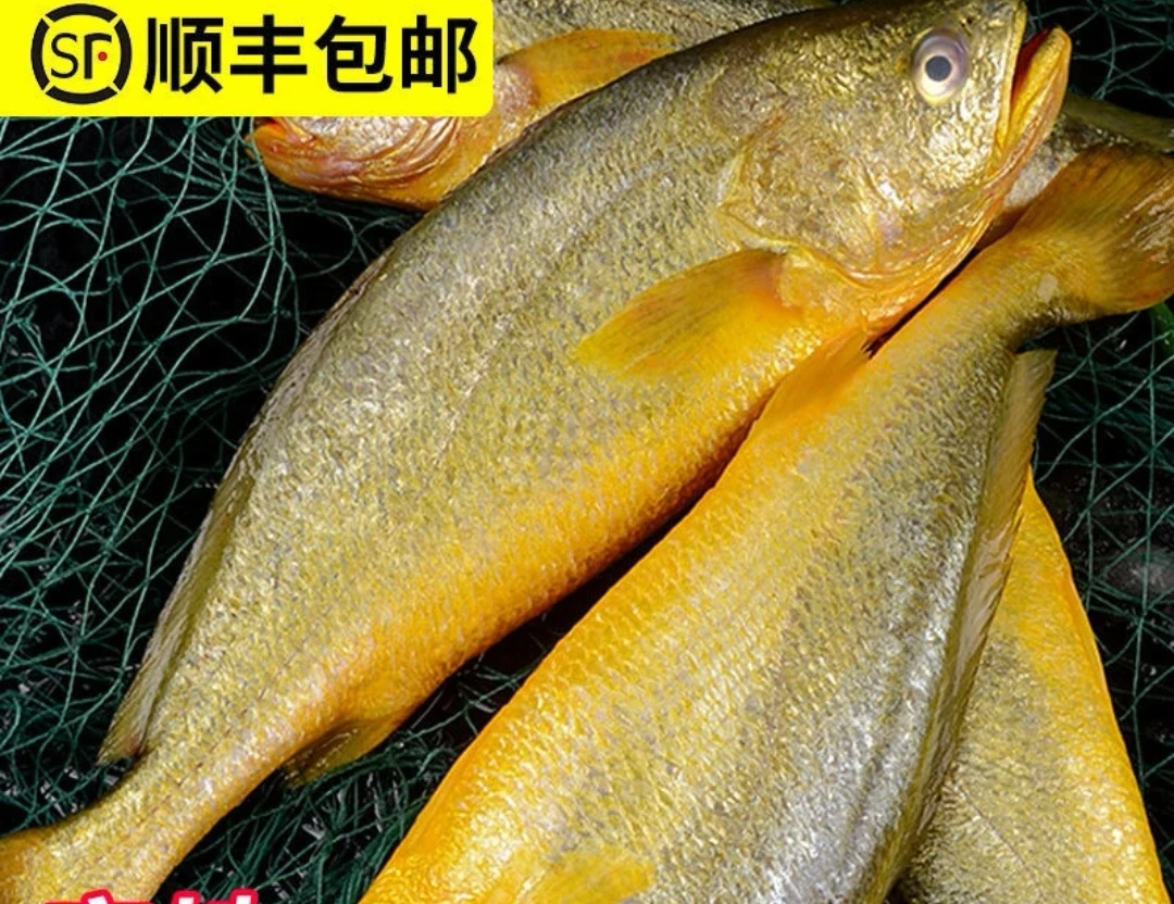 大连发货 黄花鱼（顺丰包邮）大小混装